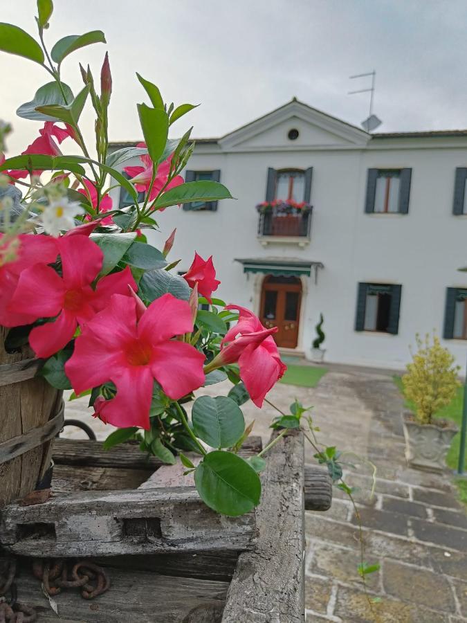 Agriturismo Villa Greggio Casalserugo Bagian luar foto