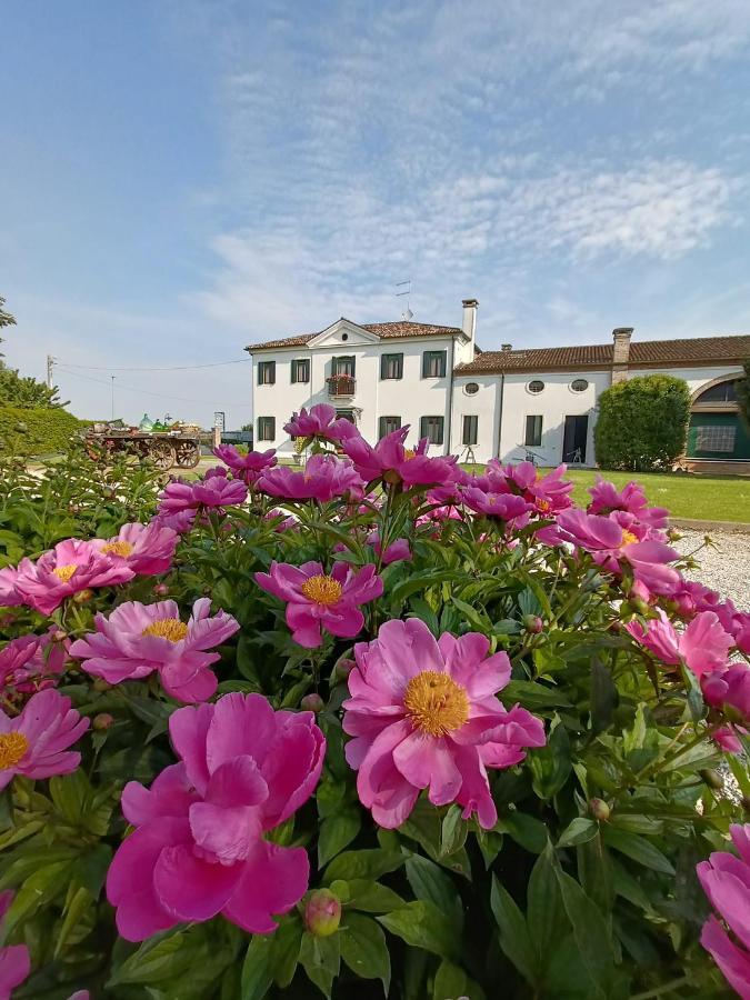 Agriturismo Villa Greggio Casalserugo Bagian luar foto